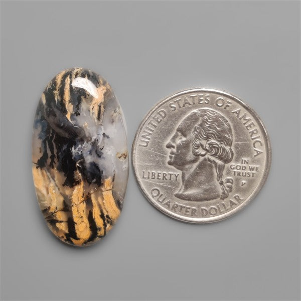 Aurstralian Dendritic Agate