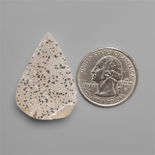 Dendritic Salt and Pepper Druzy