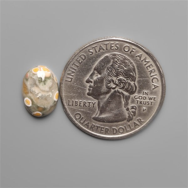 Ocean Jasper orbicular