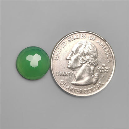 Honeycomb Cut Gemmy Chrysoprase