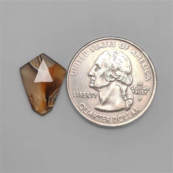 Rose Cut Monatana Agate