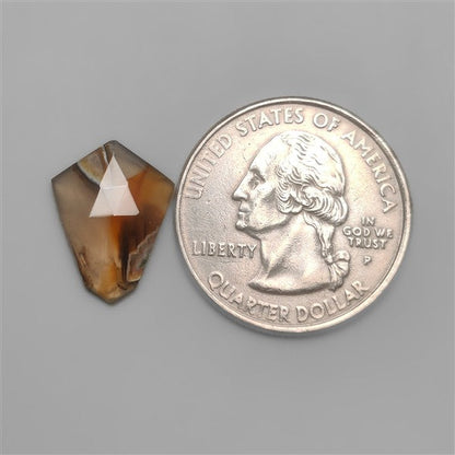 Rose Cut Monatana Agate