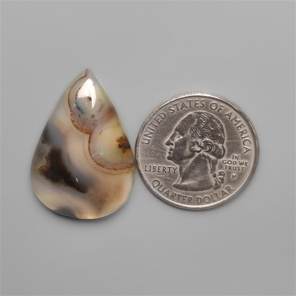 Monatana Agate Cabochon