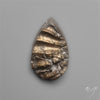 Rare Pyritized Ammonite Negative Fossil Side Cut
