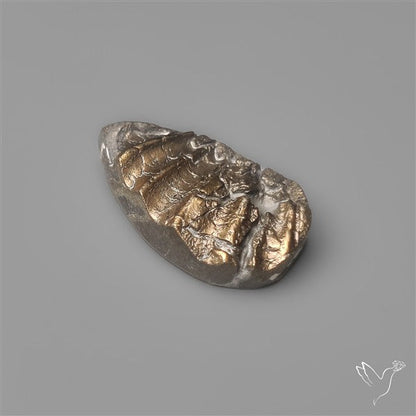 Rare Pyritized Ammonite Negative Fossil Side Cut