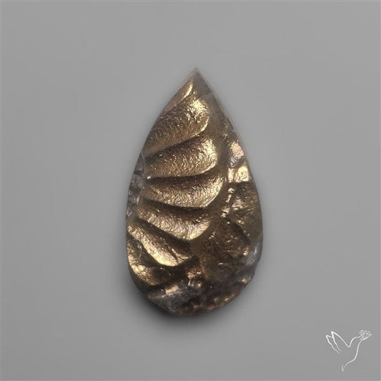 Rare Pyritized Ammonite Negative Fossil Side Cut