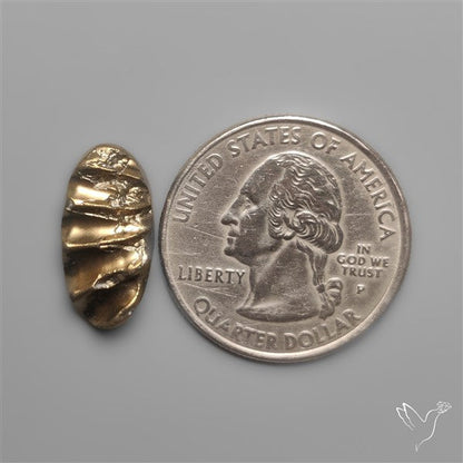 Rare Pyritized Ammonite Negative Fossil Side Cut