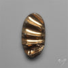 Rare Pyritized Ammonite Negative Fossil Side Cut