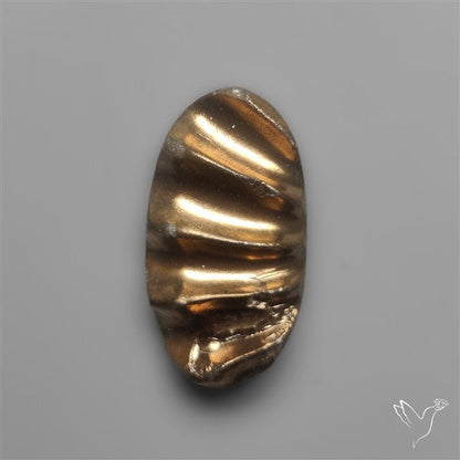 Rare Pyritized Ammonite Negative Fossil Side Cut