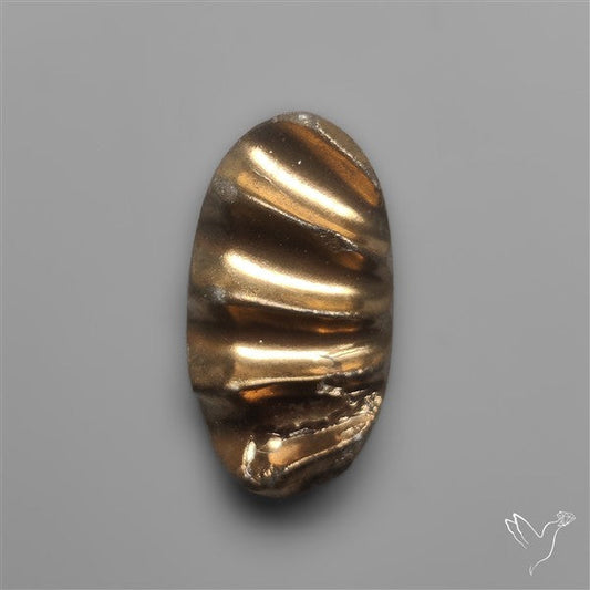 Rare Pyritized Ammonite Negative Fossil Side Cut
