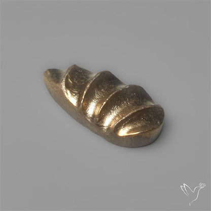 Rare Pyritized Ammonite Negative Fossil Side Cut