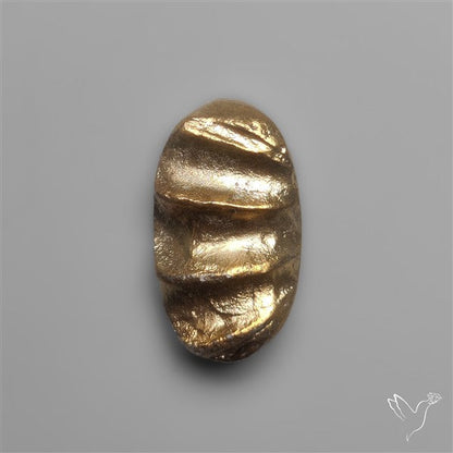 Rare Pyritized Ammonite Negative Fossil Side Cut