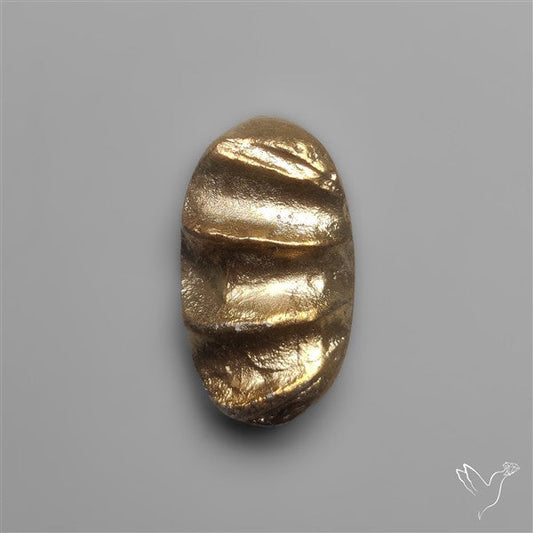 Rare Pyritized Ammonite Negative Fossil Side Cut