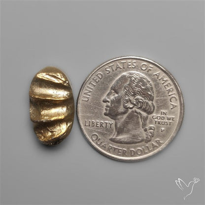 Rare Pyritized Ammonite Negative Fossil Side Cut