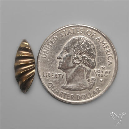 Rare Pyritized Ammonite Negative Fossil Side Cut