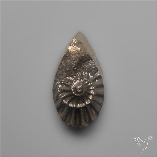 Tiny Rare Pyritized Ammonite Negative Fossil