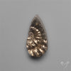 Rare Pyritized Ammonite Negative Fossil Side Cut