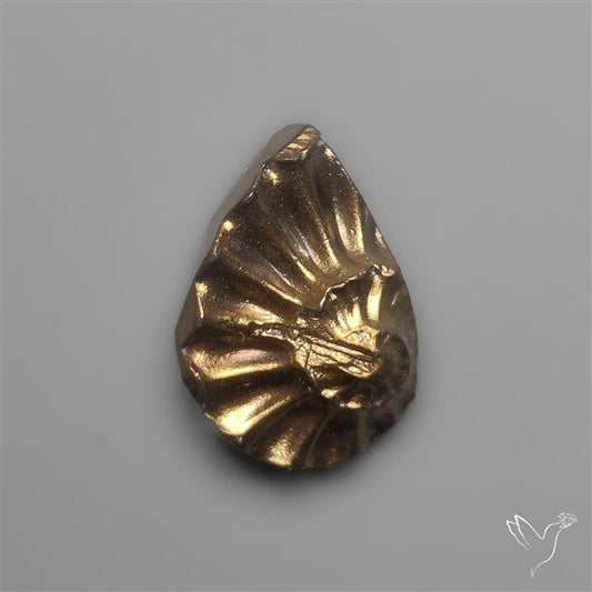 Tiny Rare Pyritized Ammonite Negative Fossil