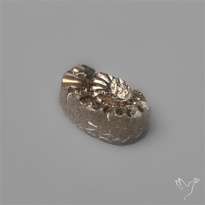 Tiny Rare Pyritized Ammonite Negative Fossil