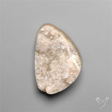Rare Petrified Wood Druzy Arizona