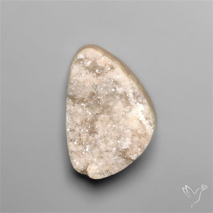 Rare Petrified Wood Druzy Arizona