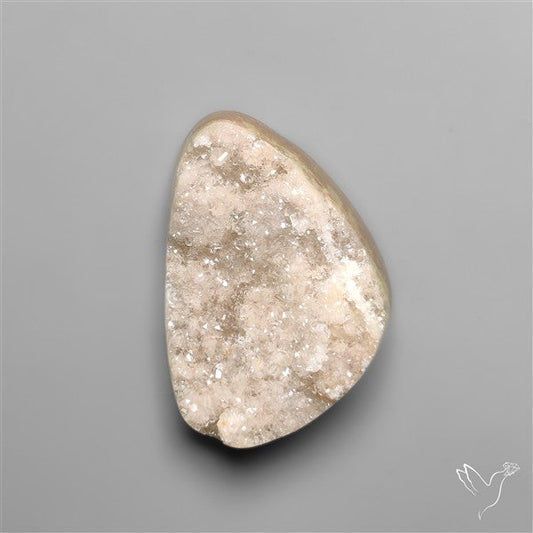 Rare Petrified Wood Druzy Arizona