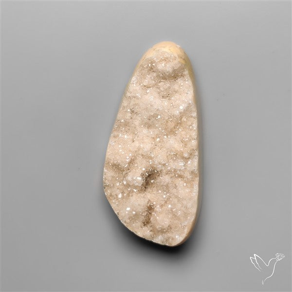 Rare Petrified Wood Druzy Arizona