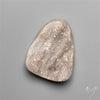 Rare Petrified Wood Druzy Arizona