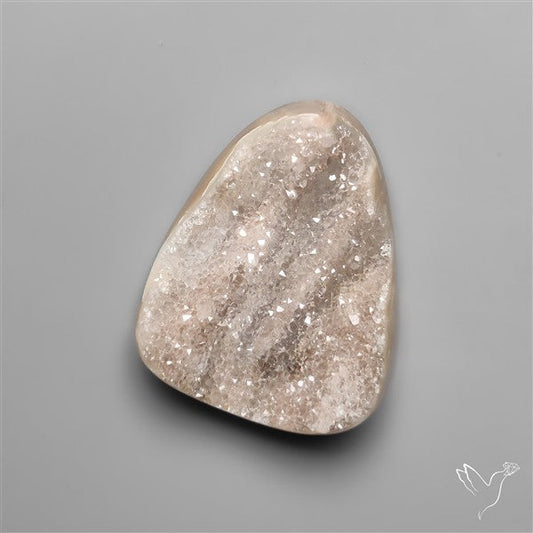 Rare Petrified Wood Druzy Arizona