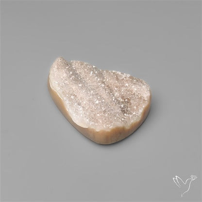 Rare Petrified Wood Druzy Arizona