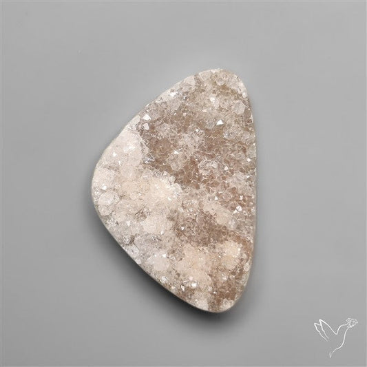 Rare Petrified Wood Druzy Arizona