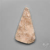 Rare Petrified Wood Druzy Arizona