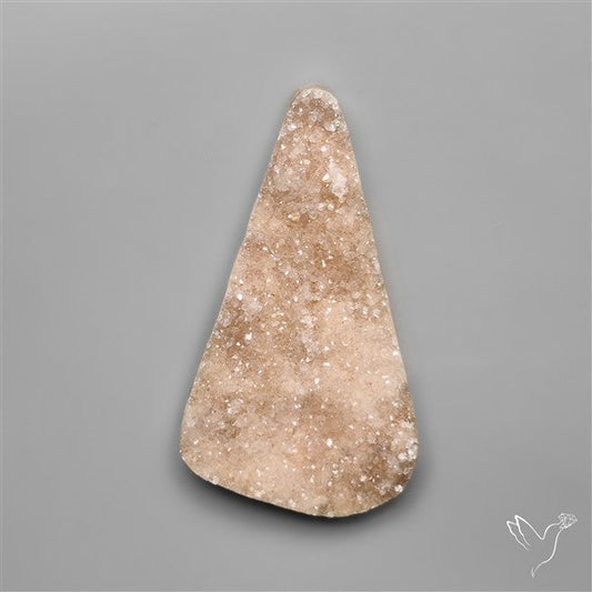 Rare Petrified Wood Druzy Arizona