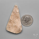 Rare Petrified Wood Druzy Arizona
