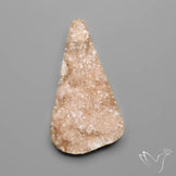 Rare Petrified Wood Druzy Arizona