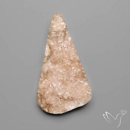 Rare Petrified Wood Druzy Arizona