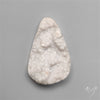 Rare Petrified Wood Druzy Arizona