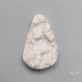 Rare Petrified Wood Druzy Arizona