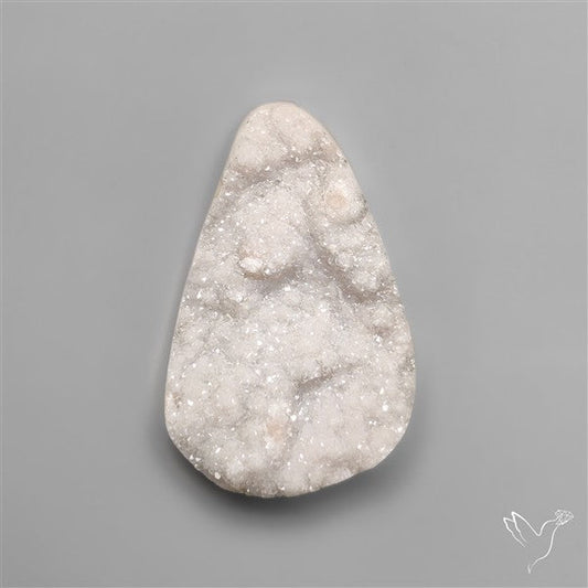 Rare Petrified Wood Druzy Arizona