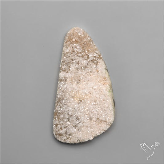 Rare Petrified Wood Druzy Arizona