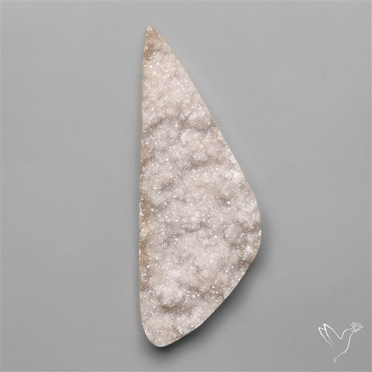 Rare Petrified Wood Druzy Arizona