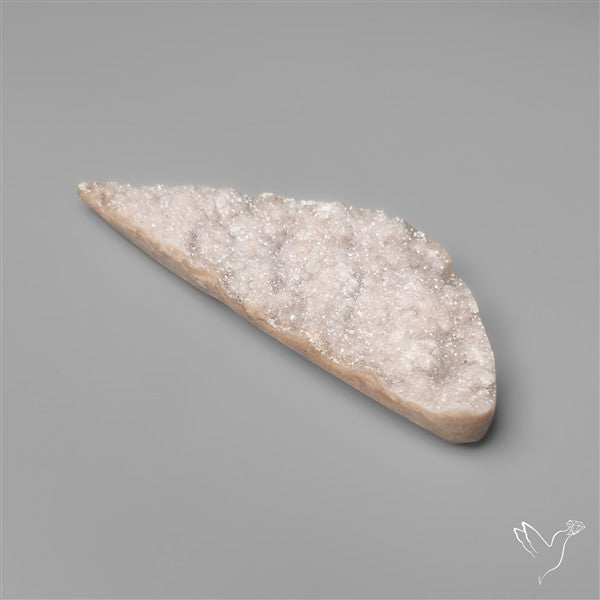 Rare Petrified Wood Druzy Arizona