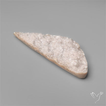 Rare Petrified Wood Druzy Arizona