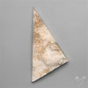 Rare Petrified Wood Druzy Arizona