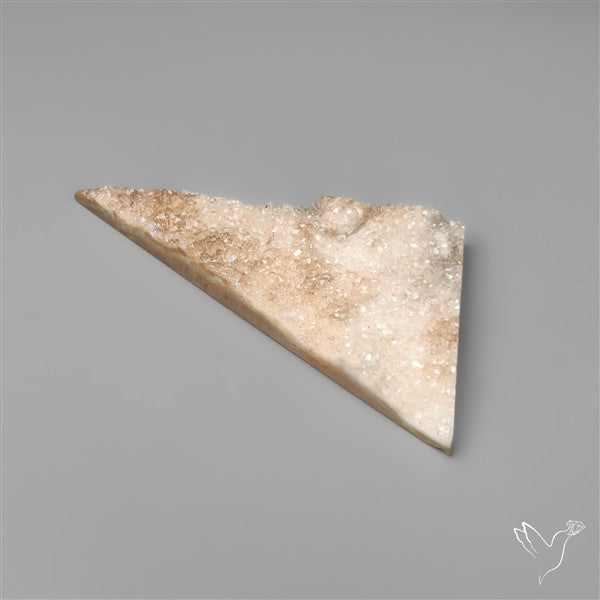Rare Petrified Wood Druzy Arizona