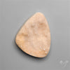 Rare Petrified Wood Druzy Arizona