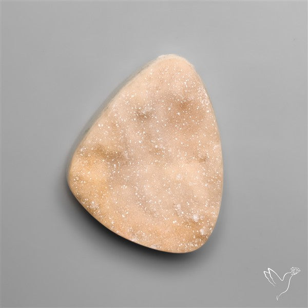 Rare Petrified Wood Druzy Arizona
