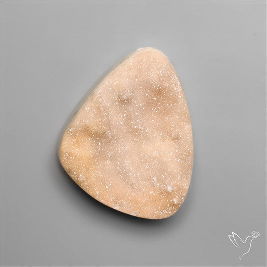 Rare Petrified Wood Druzy Arizona