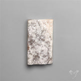 Rare Petrified Wood Druzy Arizona