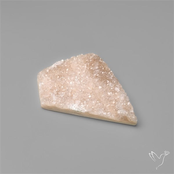 Rare Petrified Wood Druzy Arizona